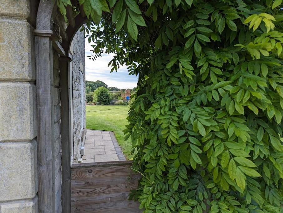 Millfield Cottage ยอร์ค ภายนอก รูปภาพ